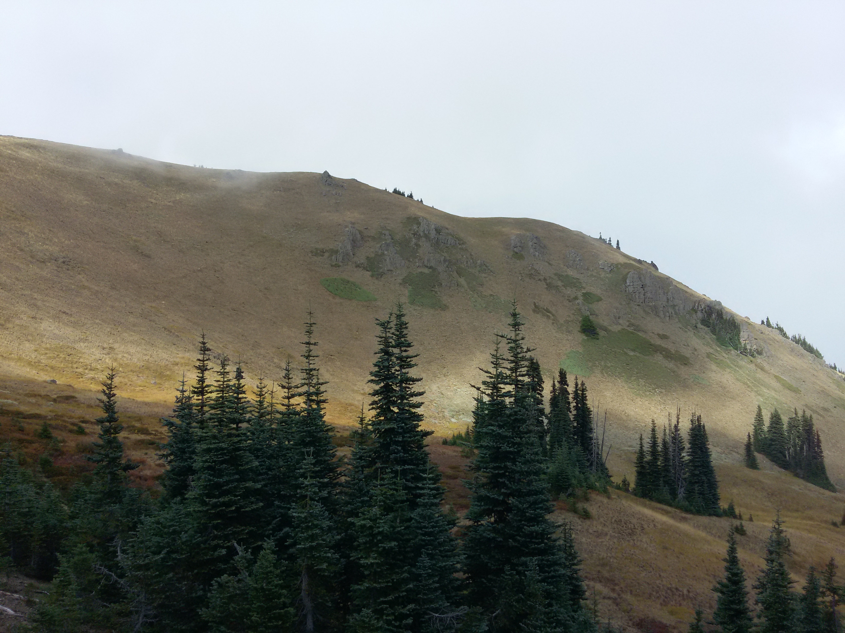 Hurricane Hill: Low Effort, High Reward Hike in Olympic National Park